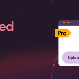 Post Featured Video Pro